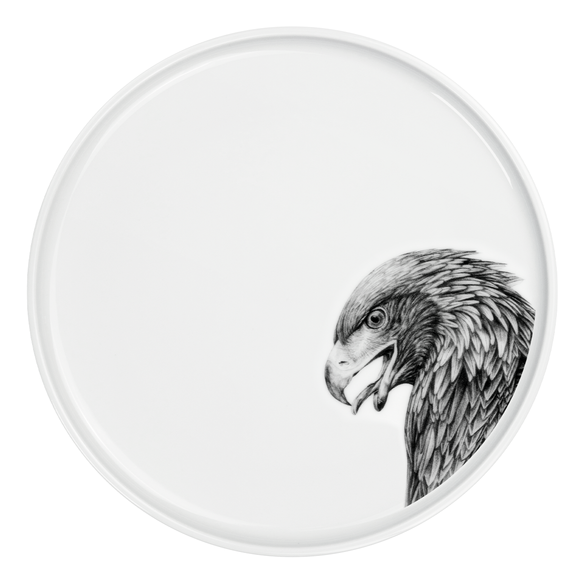 teller 28 . adler .