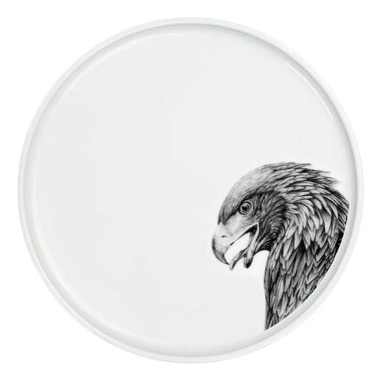 teller 28 . adler .