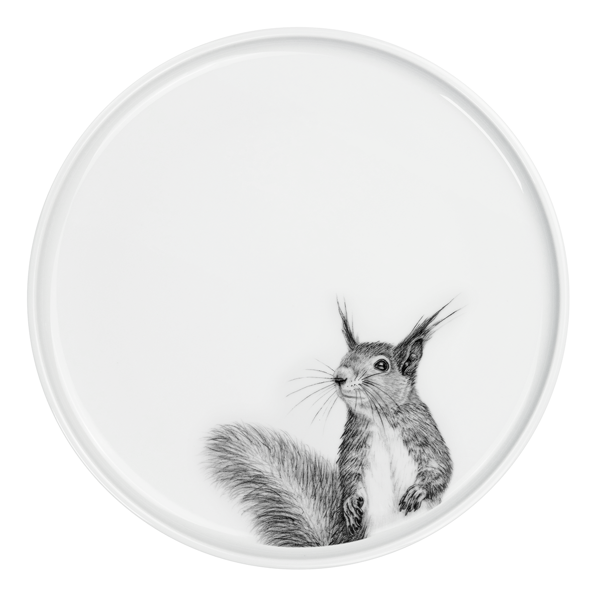 teller 28 . eichhörnchen .