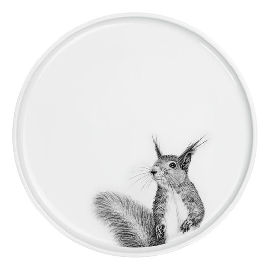 teller 28 . eichhörnchen .