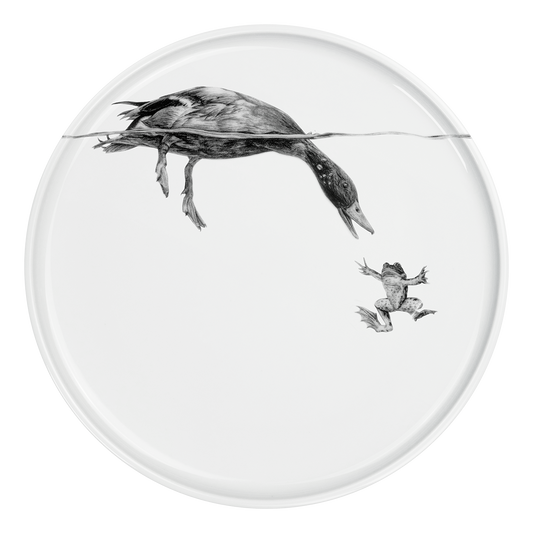 teller 28 . ente grüßt frosch.