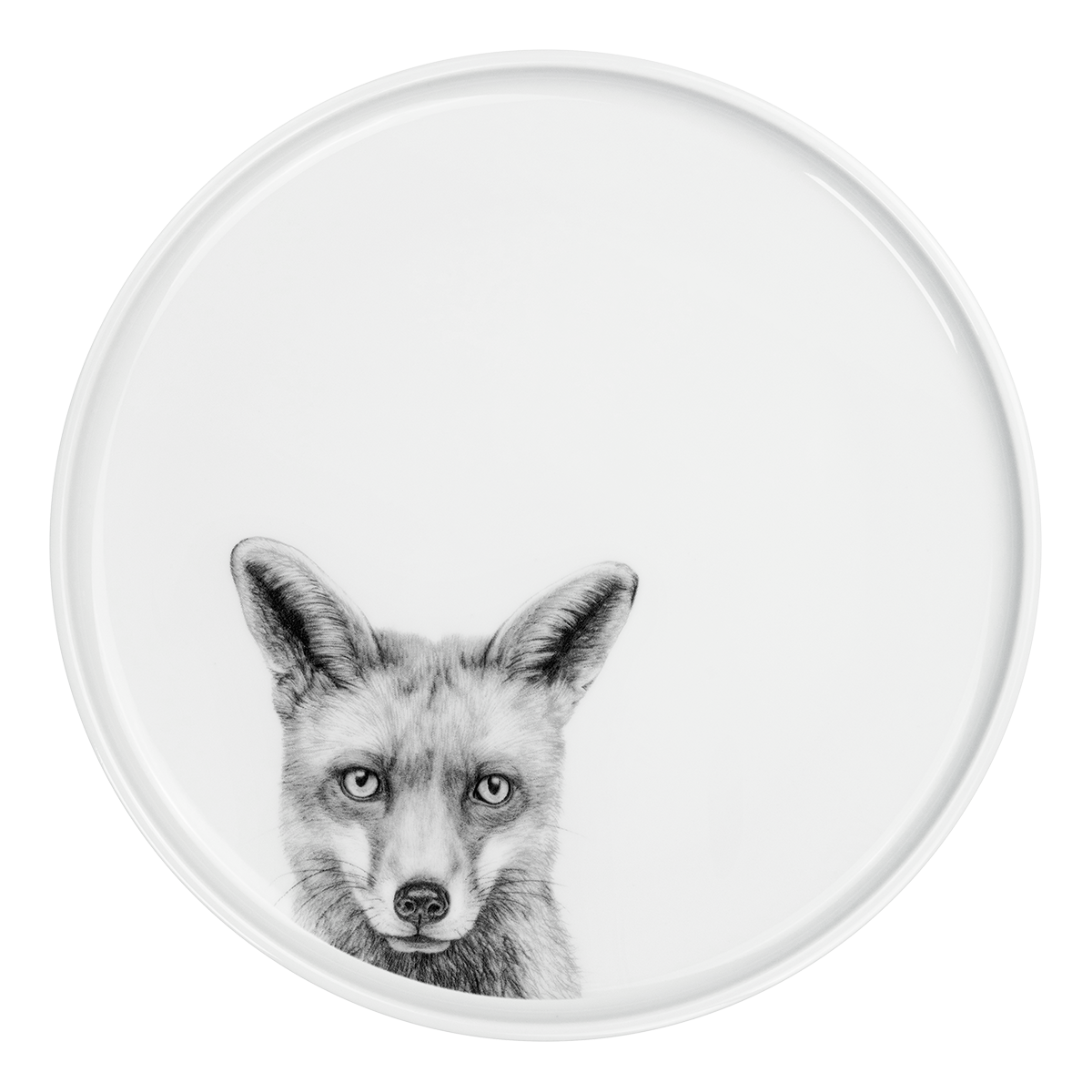 teller 28 . fuchs .