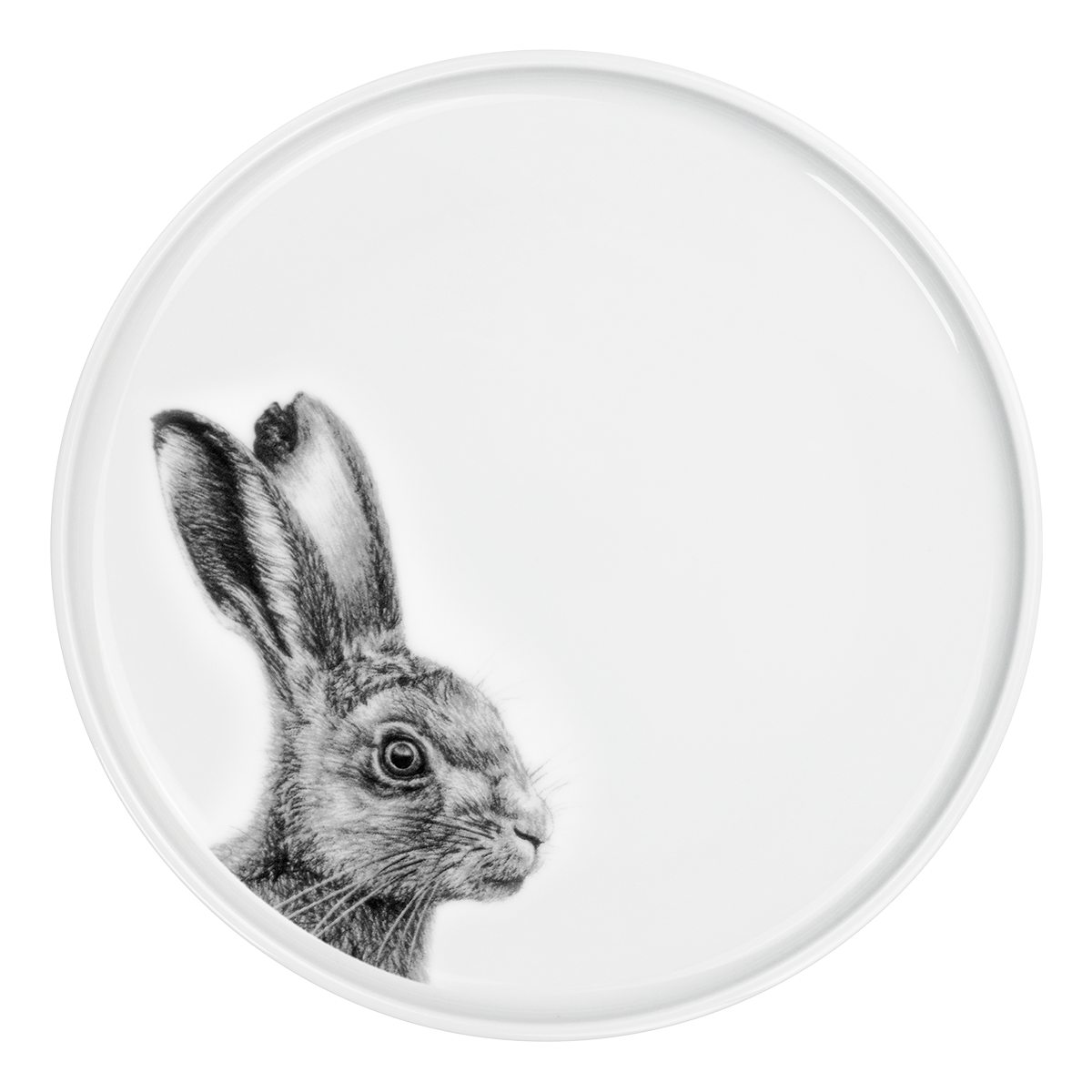 teller 28 . hase .