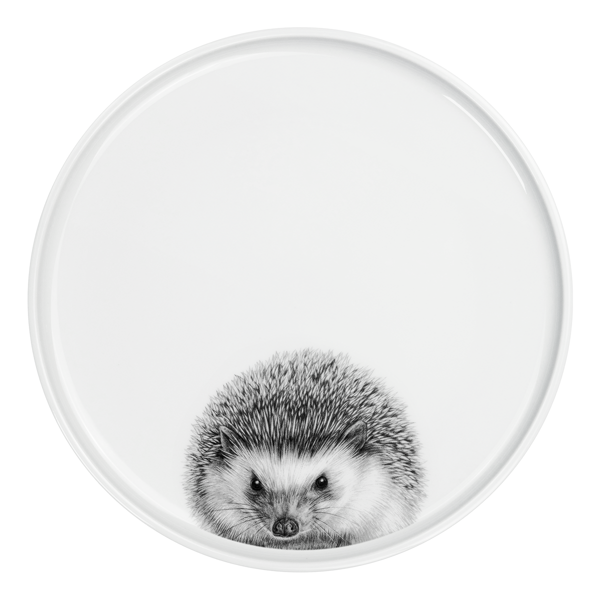 teller 28 . igel .
