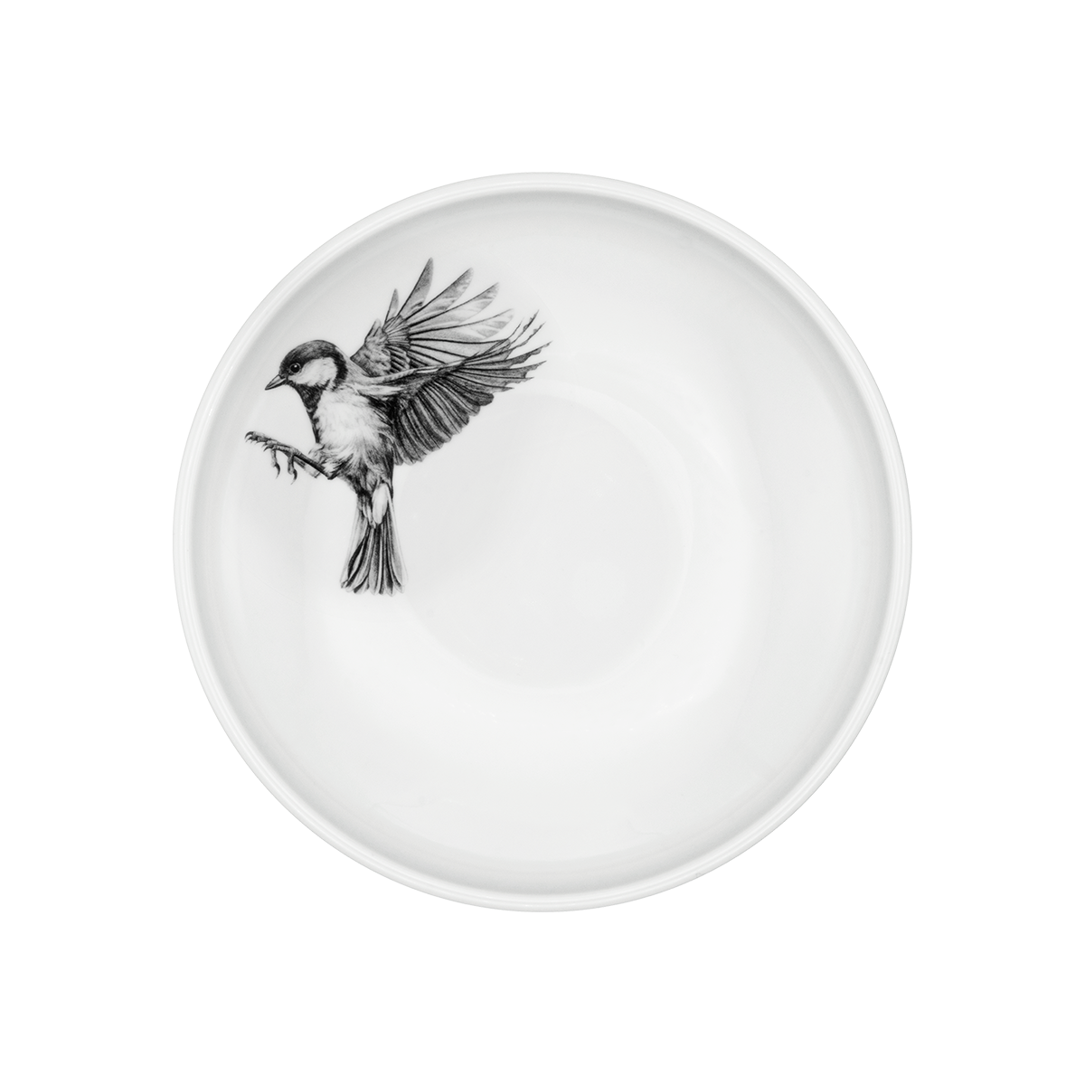 teller 21 tief . kohlmeise im anflug .