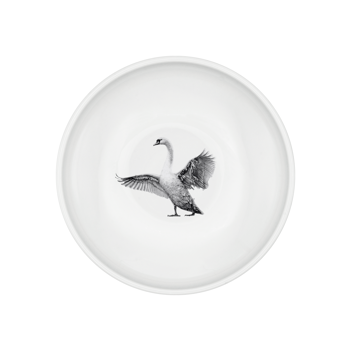 teller 21 tief . schwan .
