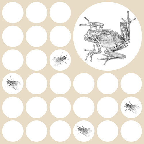geschenkpapier . frosch fliege . buch und kekse . matt