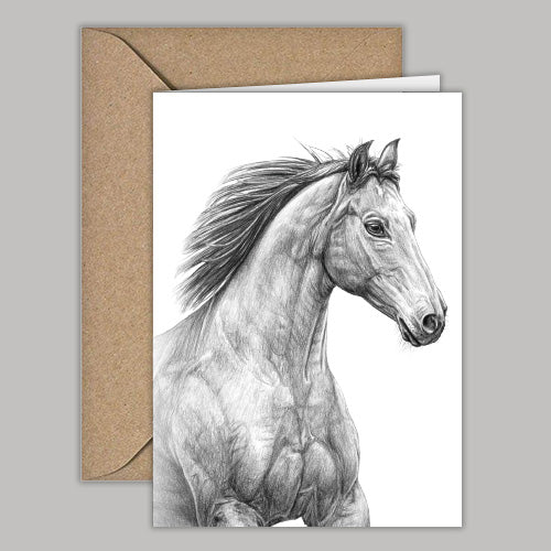 klappkarte mit umschlag . pferd