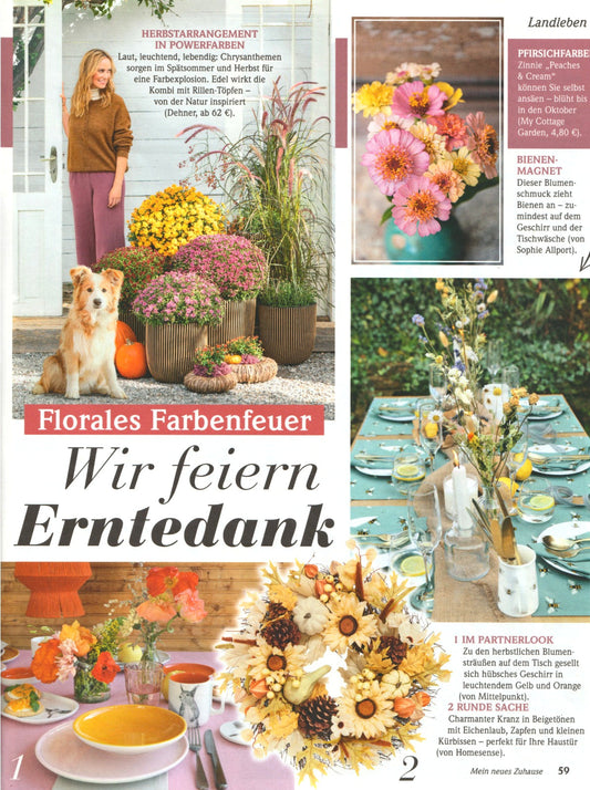 mein neues zuhause