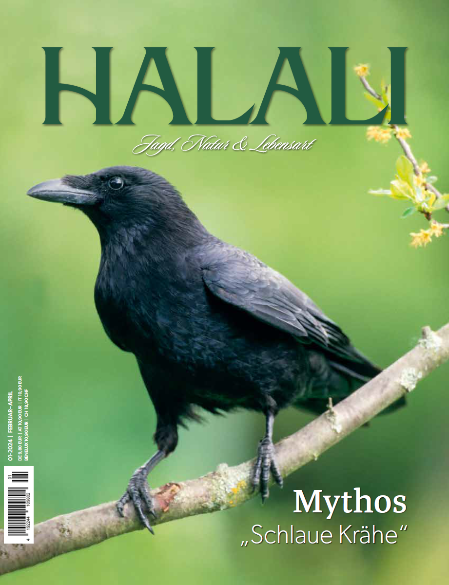 halali