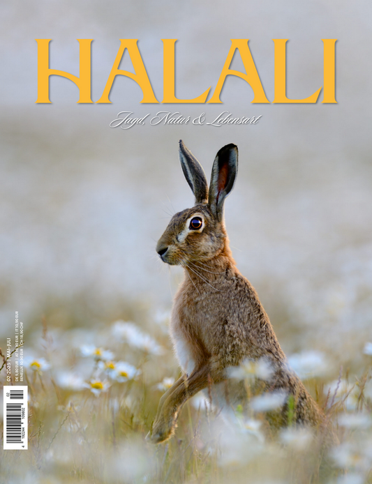 halali