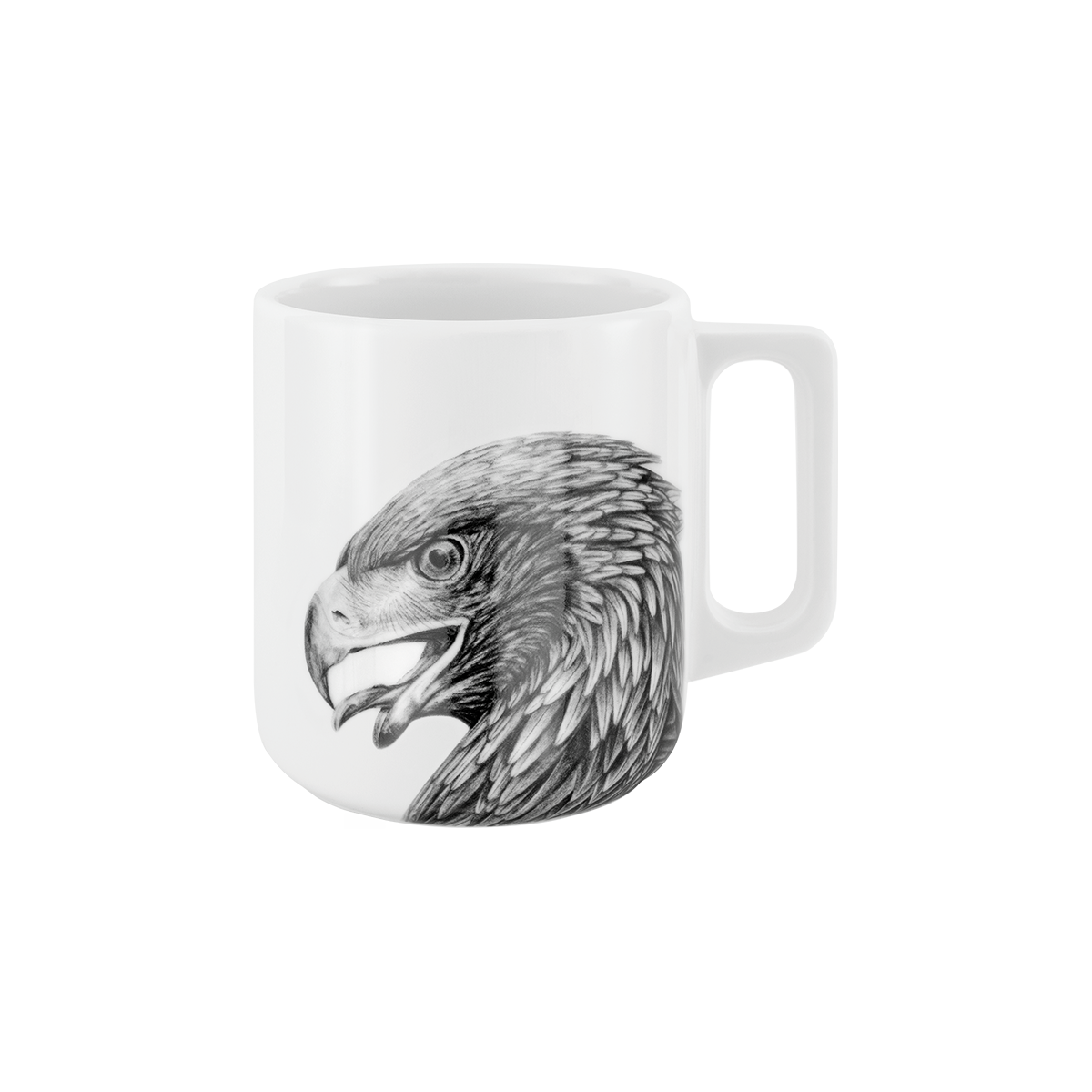 adler .