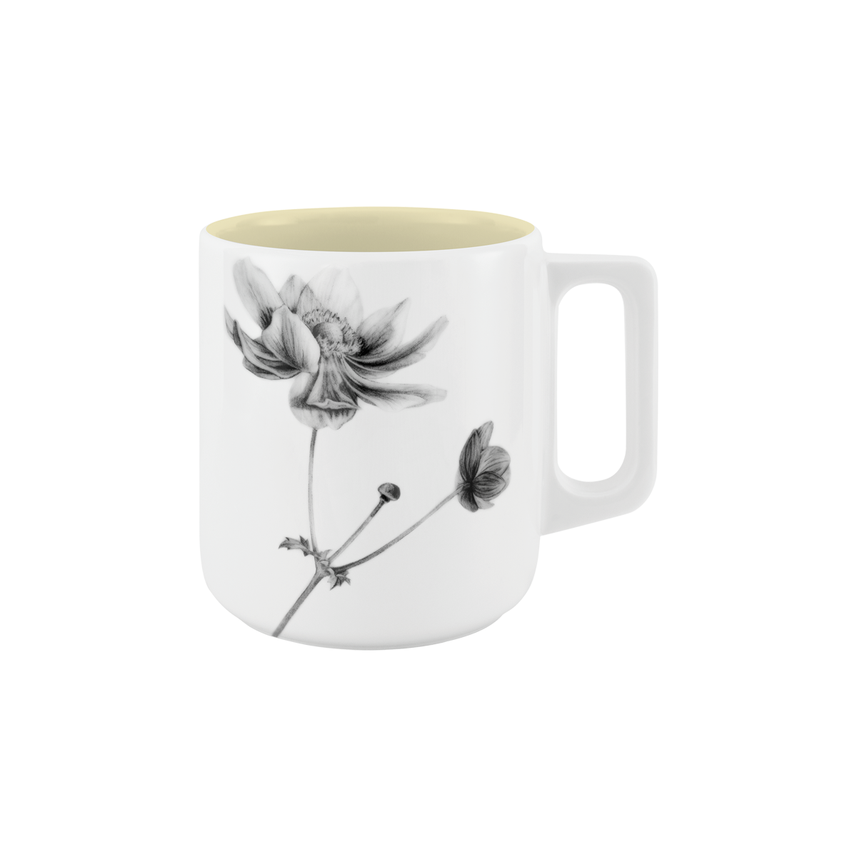 becher mit henkel . innen farbig . anemone .