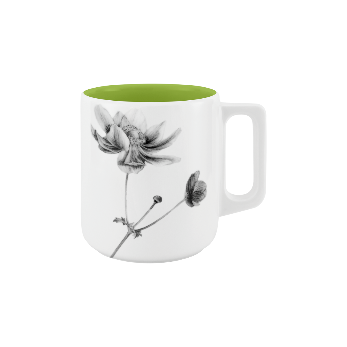 becher mit henkel . innen farbig . anemone .