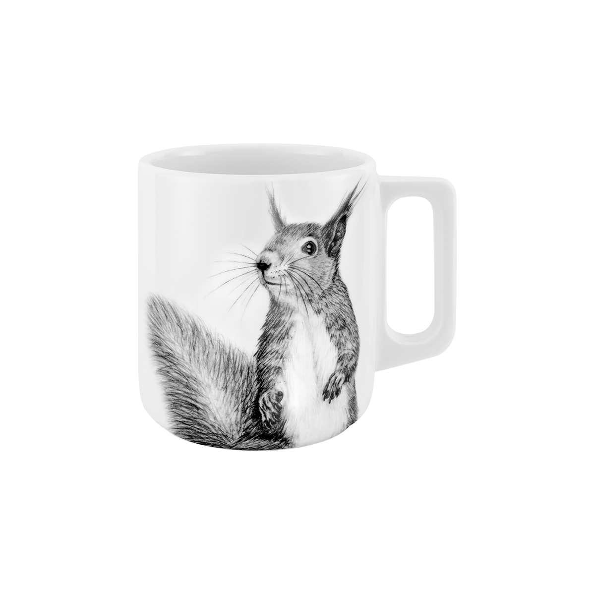 eichhörnchen .