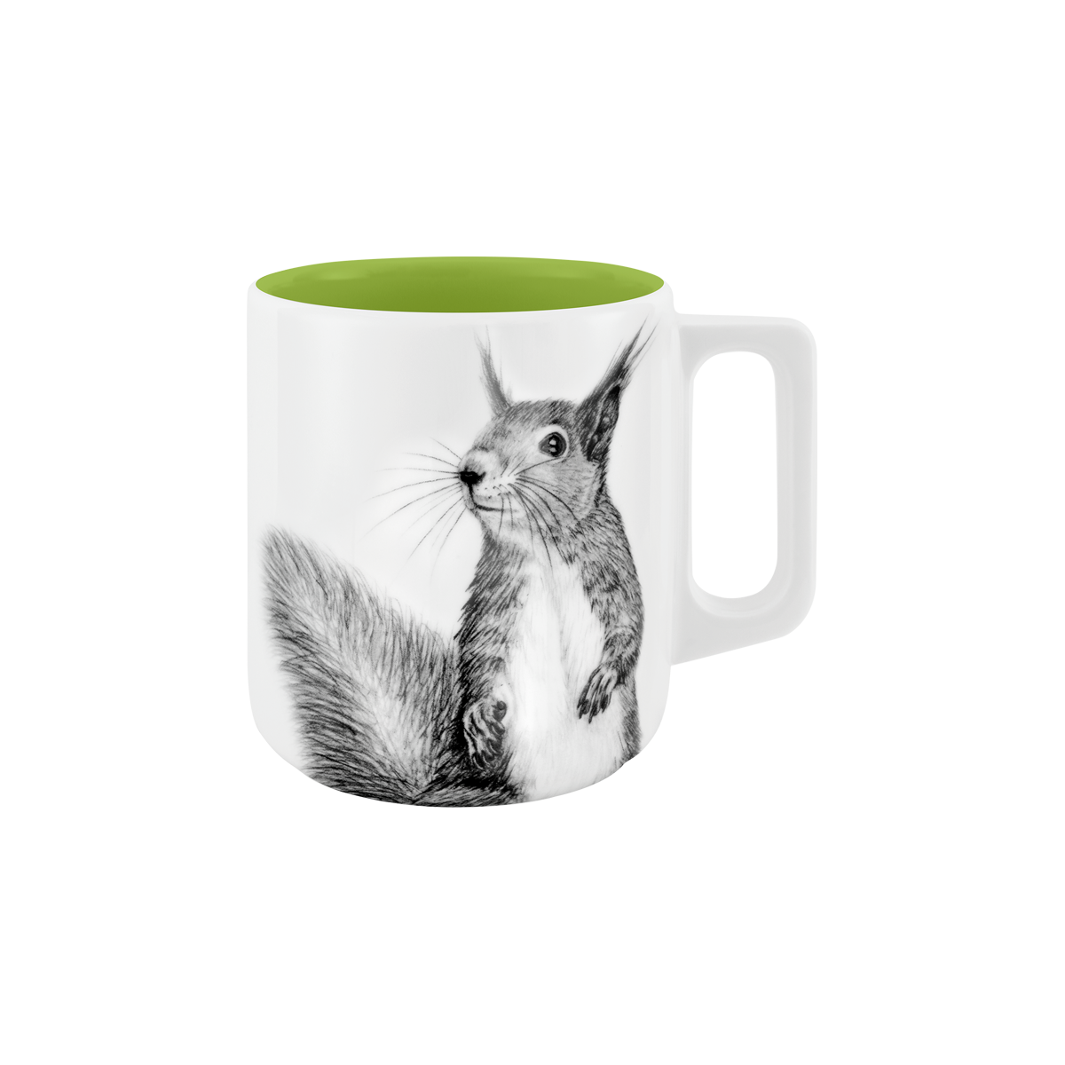 eichhörnchen . das erste laub .