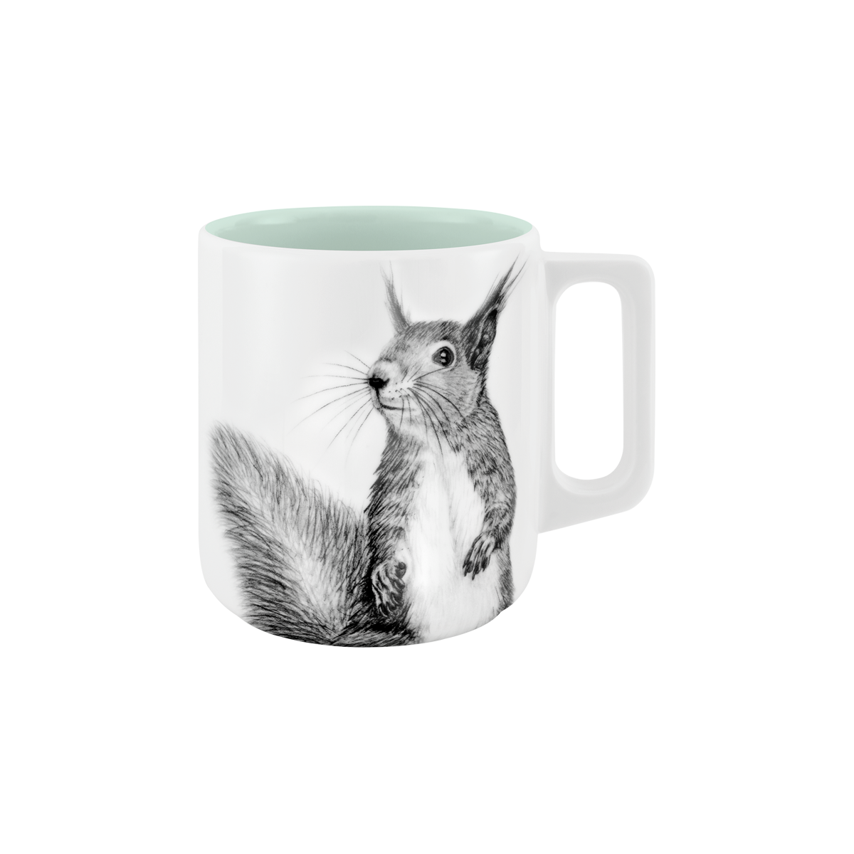 eichhörnchen . frischer wind .