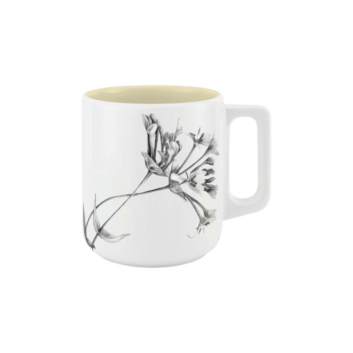 becher mit henkel . innen farbig . geißblatt .