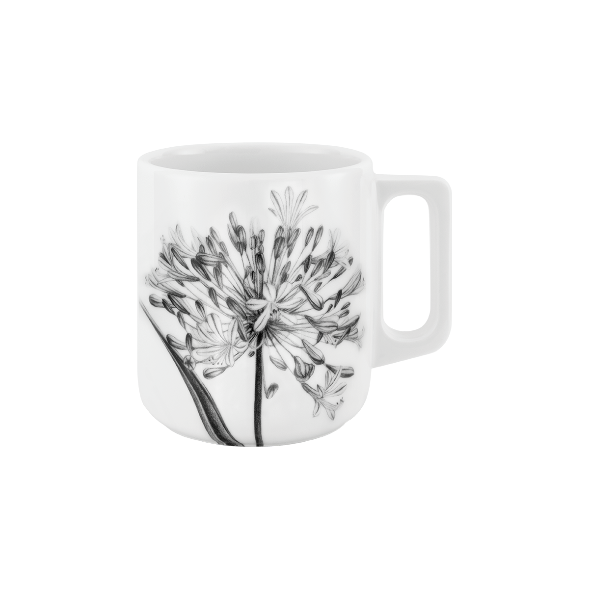 becher mit henkel 370 . schmucklilie .