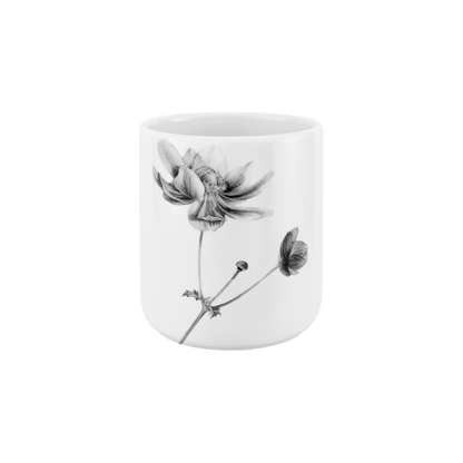 anemone .