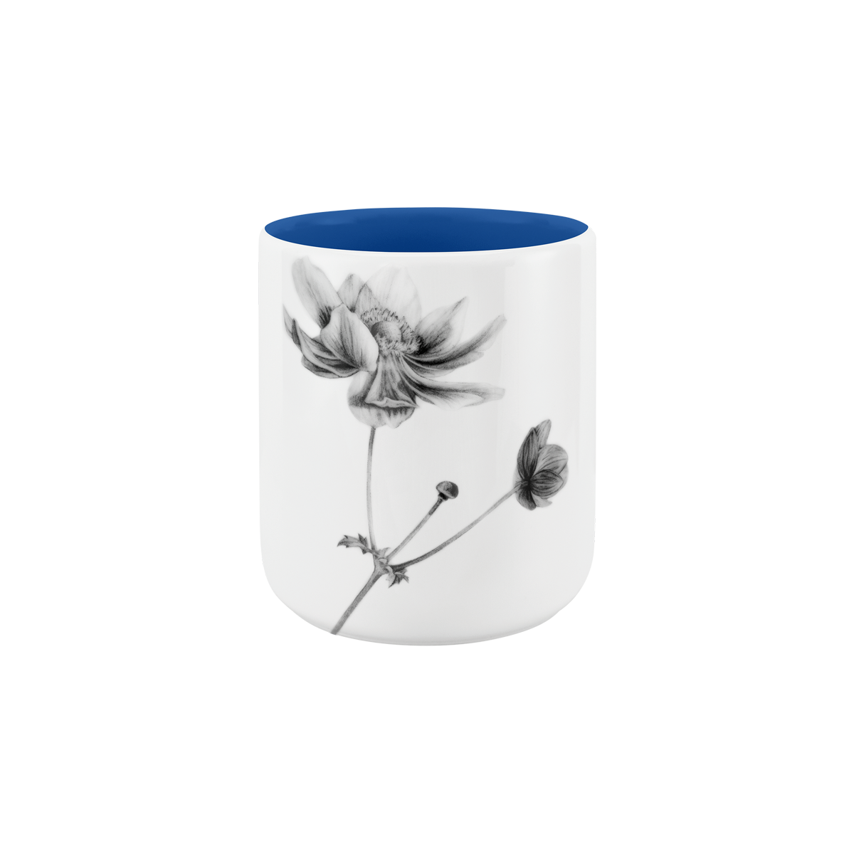 becher ohne henkel . innen farbig . anemone .