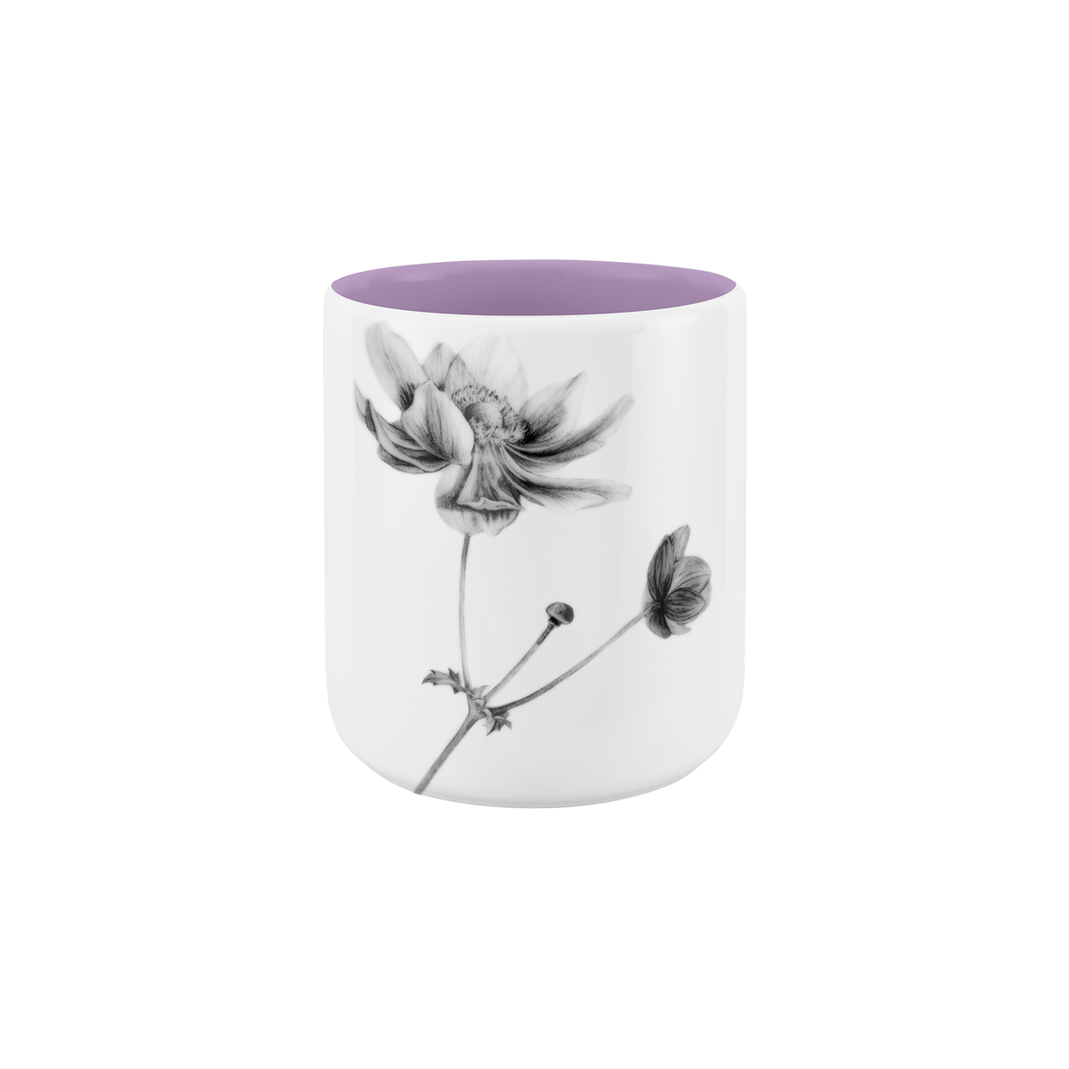 anemone . fliederduft .