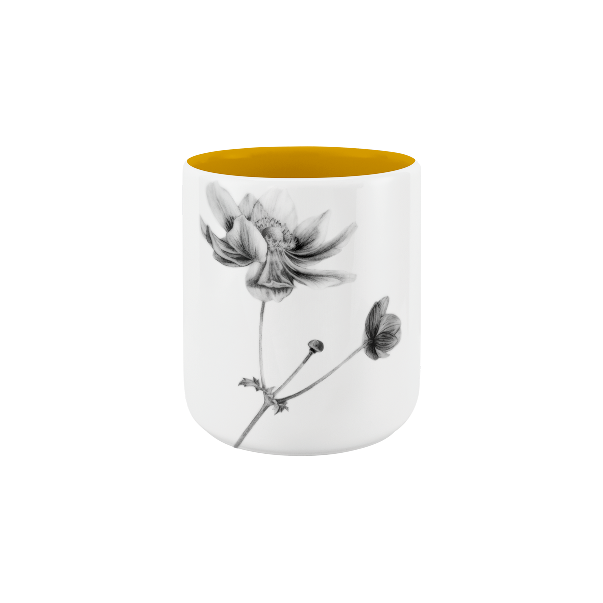 becher ohne henkel . innen farbig . anemone .