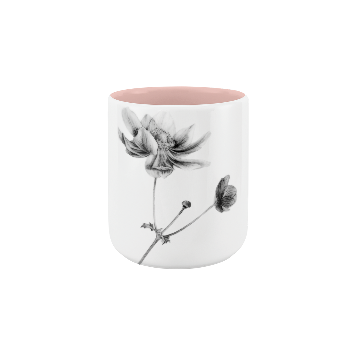 anemone . zuckerwatte .