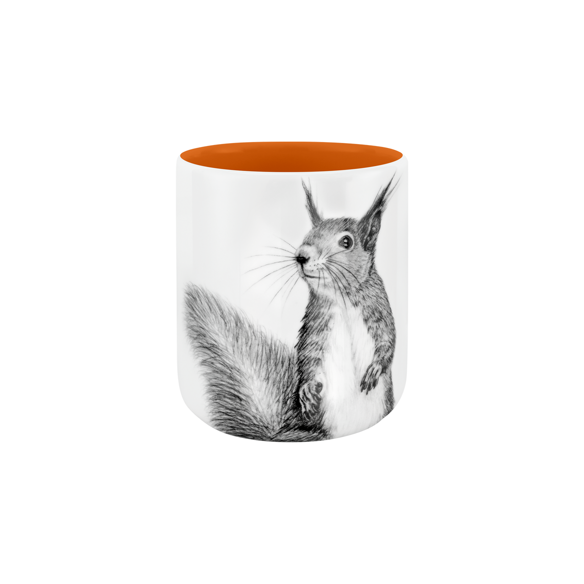 becher ohne henkel . innen farbig . eichhörnchen .
