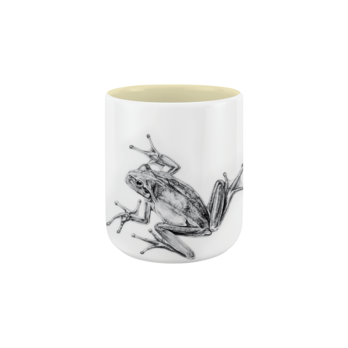 becher ohne henkel . innen farbig . frosch .