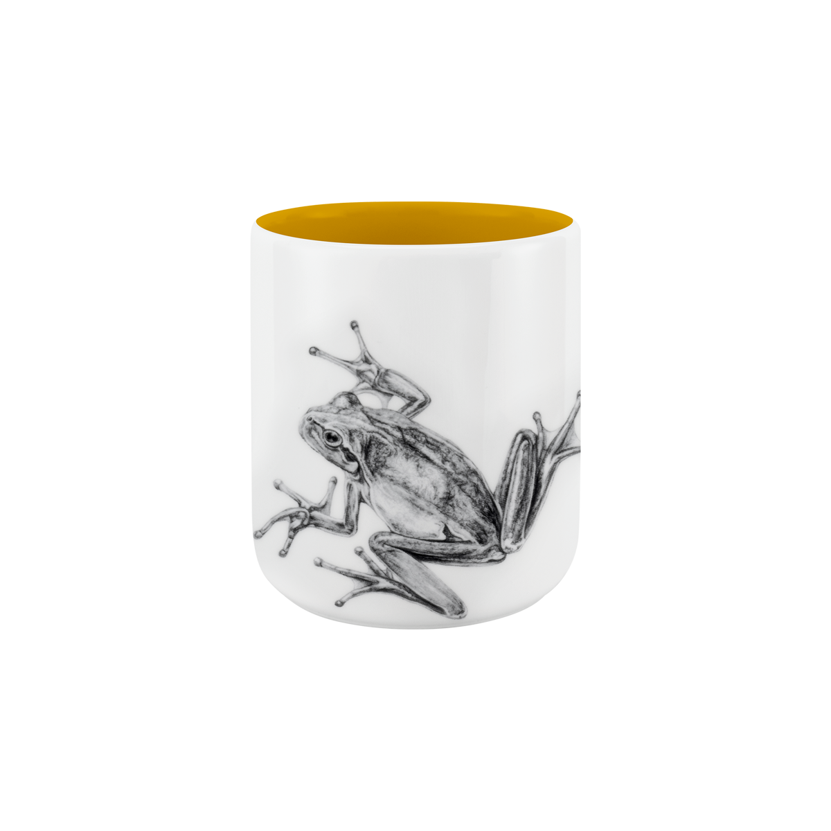 becher ohne henkel . innen farbig . frosch .