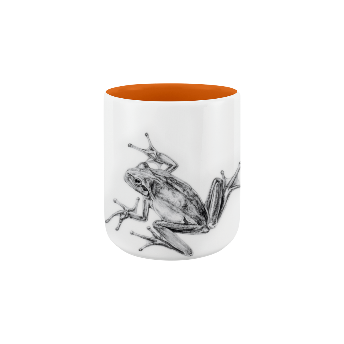 becher ohne henkel . innen farbig . frosch .