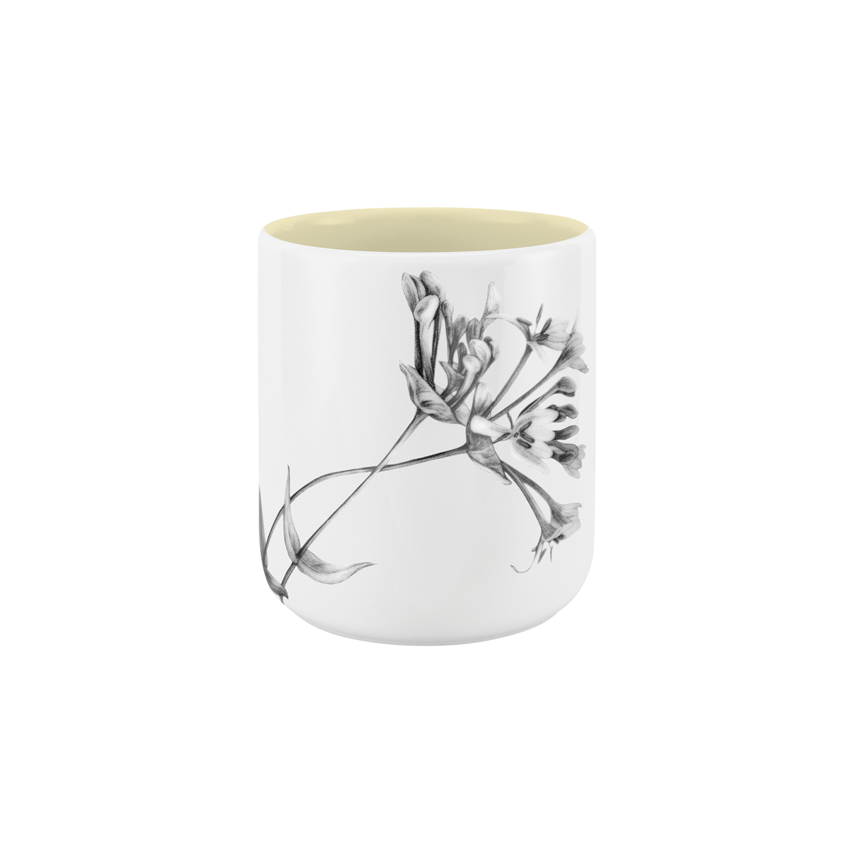 becher ohne henkel . innen farbig . geißblatt .