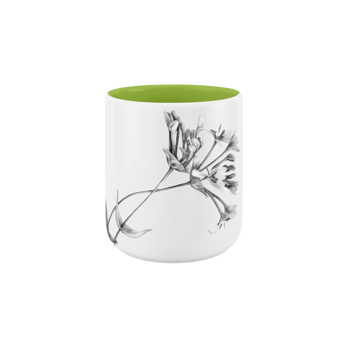 becher ohne henkel . innen farbig . geißblatt .