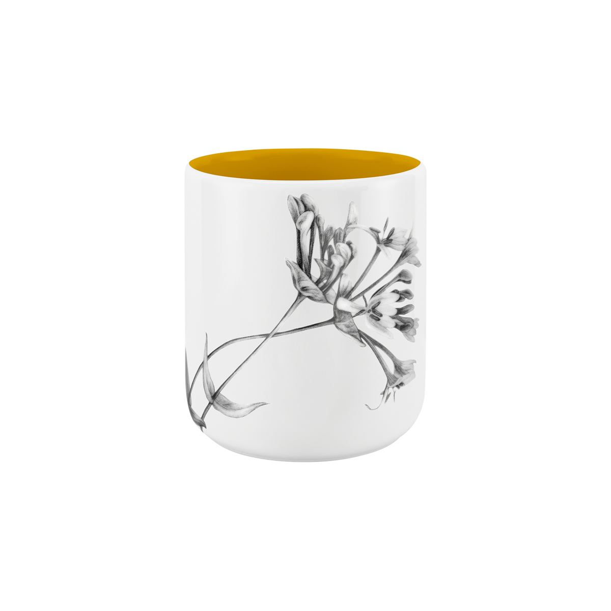 becher ohne henkel . innen farbig . geißblatt .