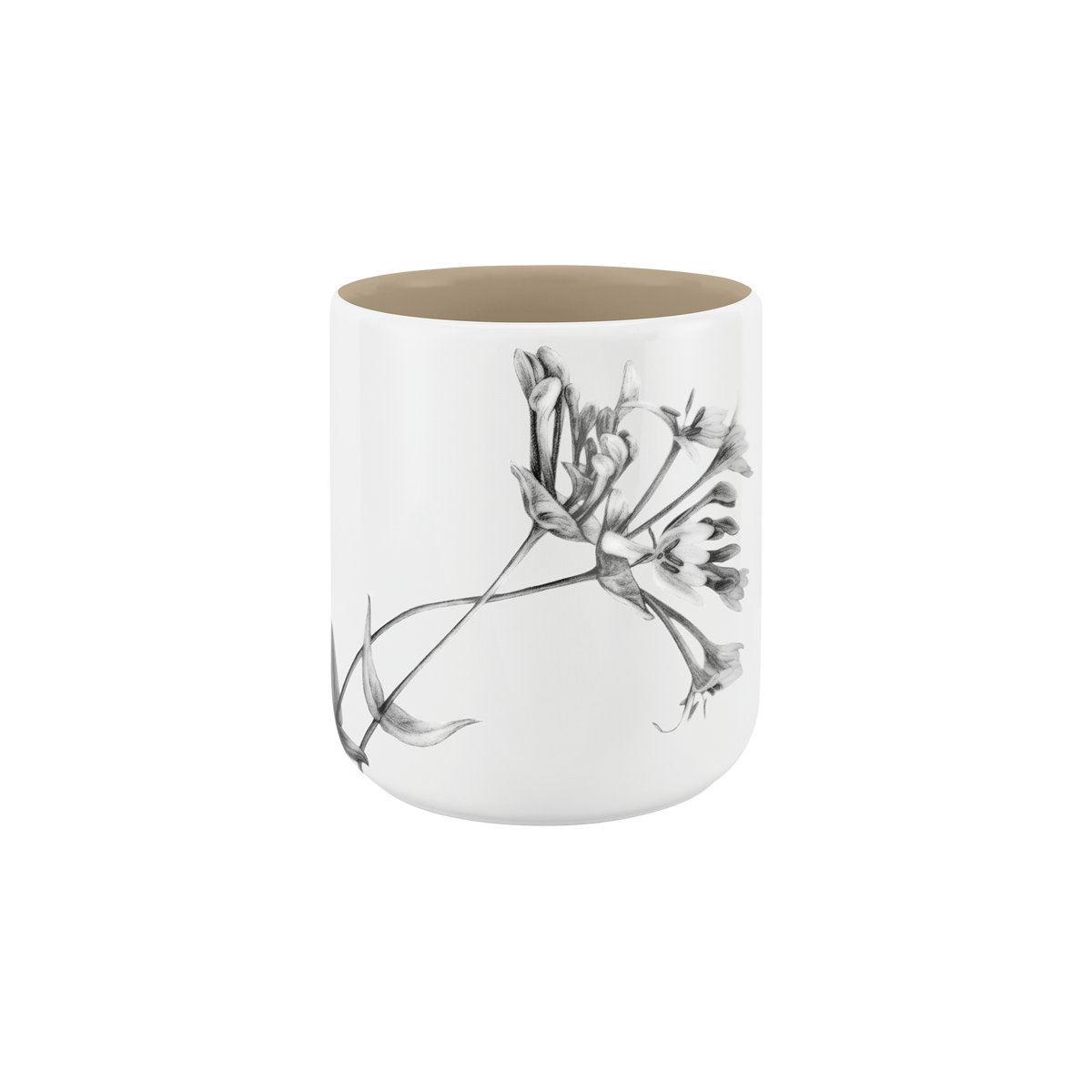 becher ohne henkel . innen farbig . geißblatt .