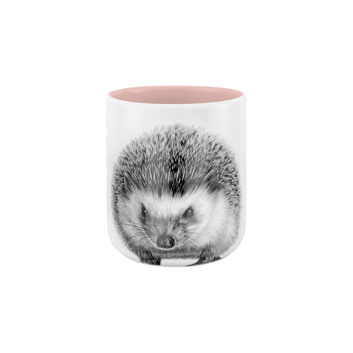 igel . zuckerwatte .