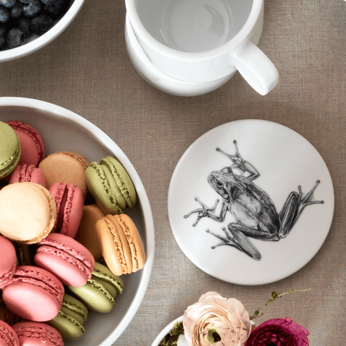 deckel 11 . untersetzer . frosch .