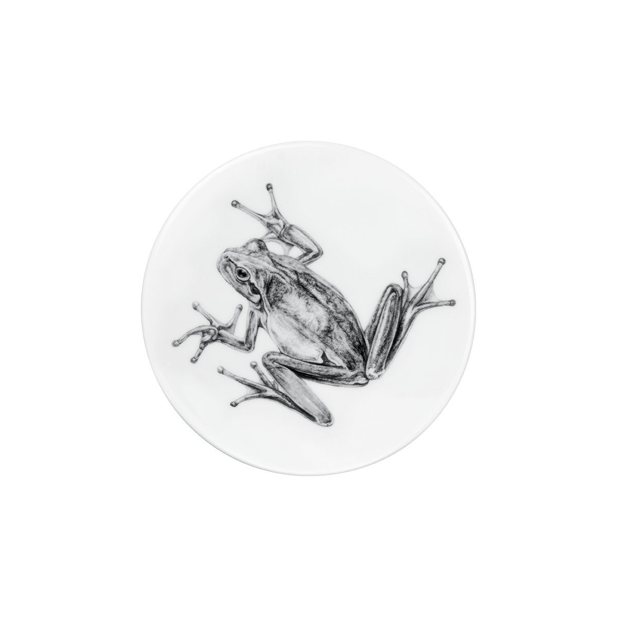 deckel 11 . untersetzer . frosch .
