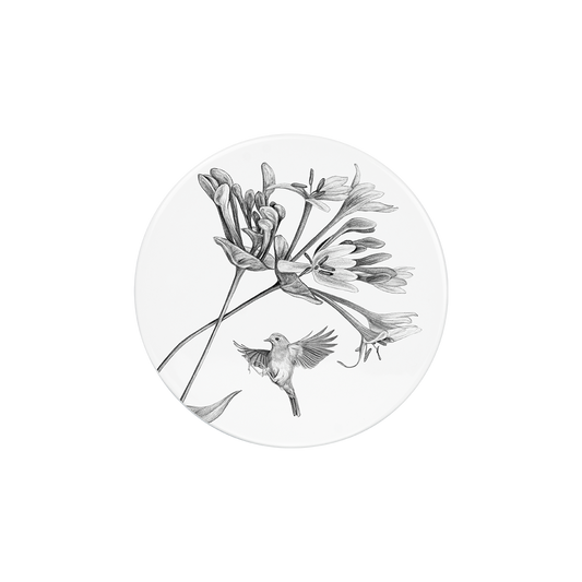 deckel 11 . untersetzer . geißblatt mit rotkehlchen .