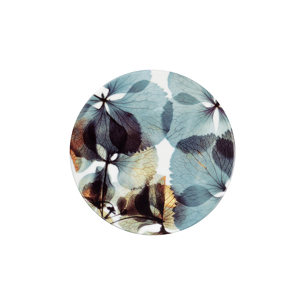 hortensie .