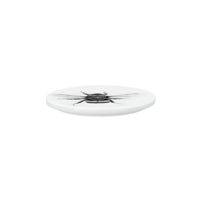 set 82 . deckel und schale