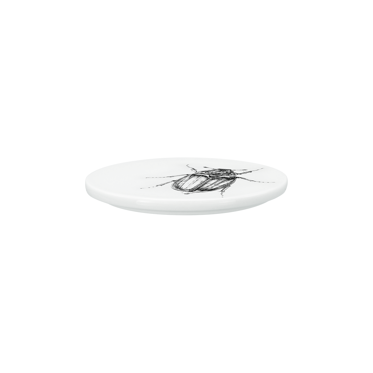 deckel 11 . untersetzer . maikäfer .