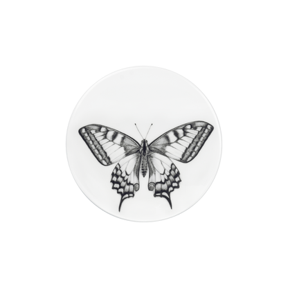 deckel 11 . untersetzer . schmetterling .