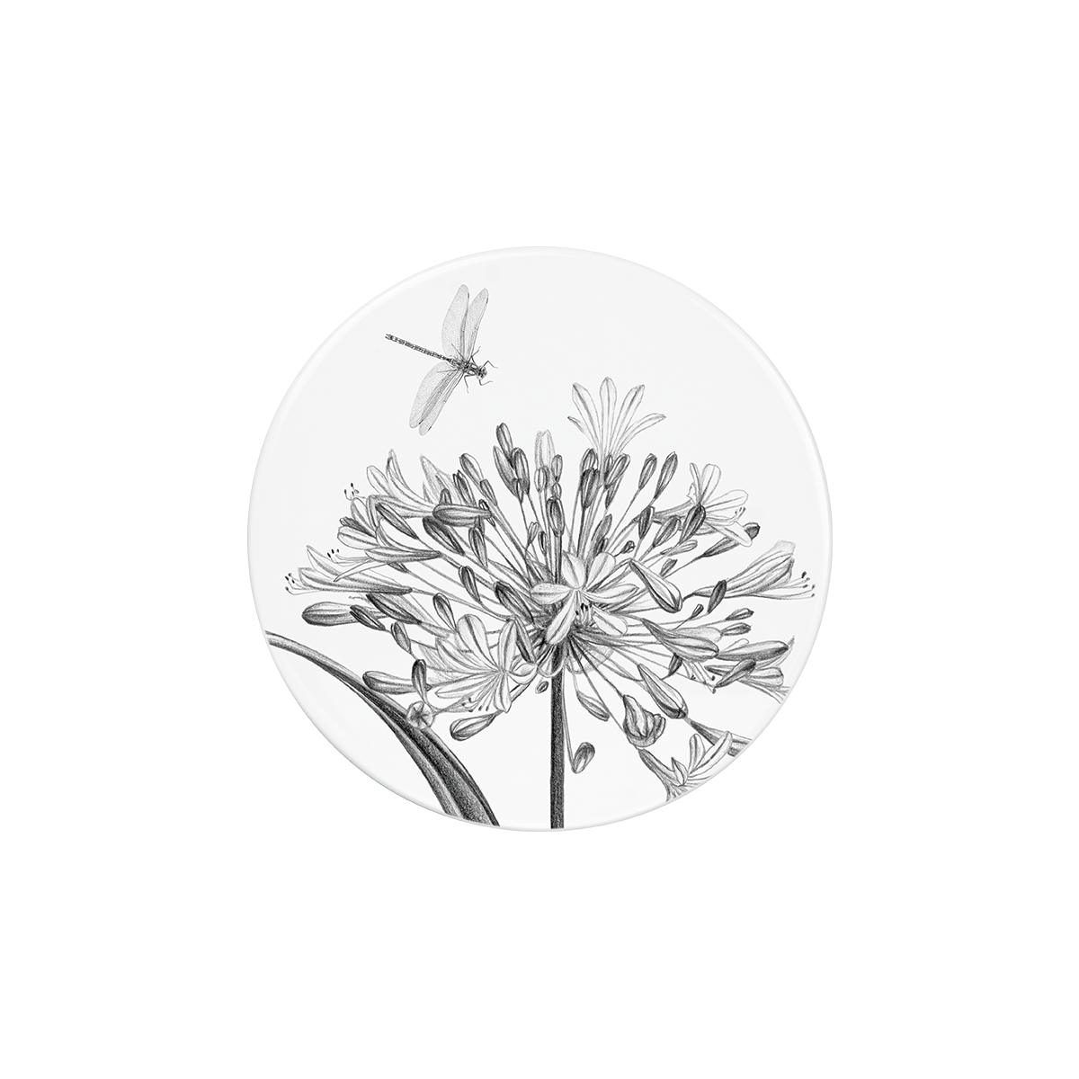 deckel 11 . untersetzer . schmucklilie mit libelle .