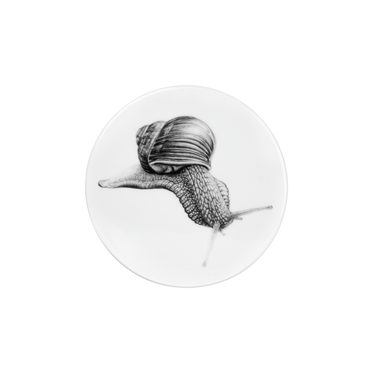 deckel 11 . untersetzer . schnecke .