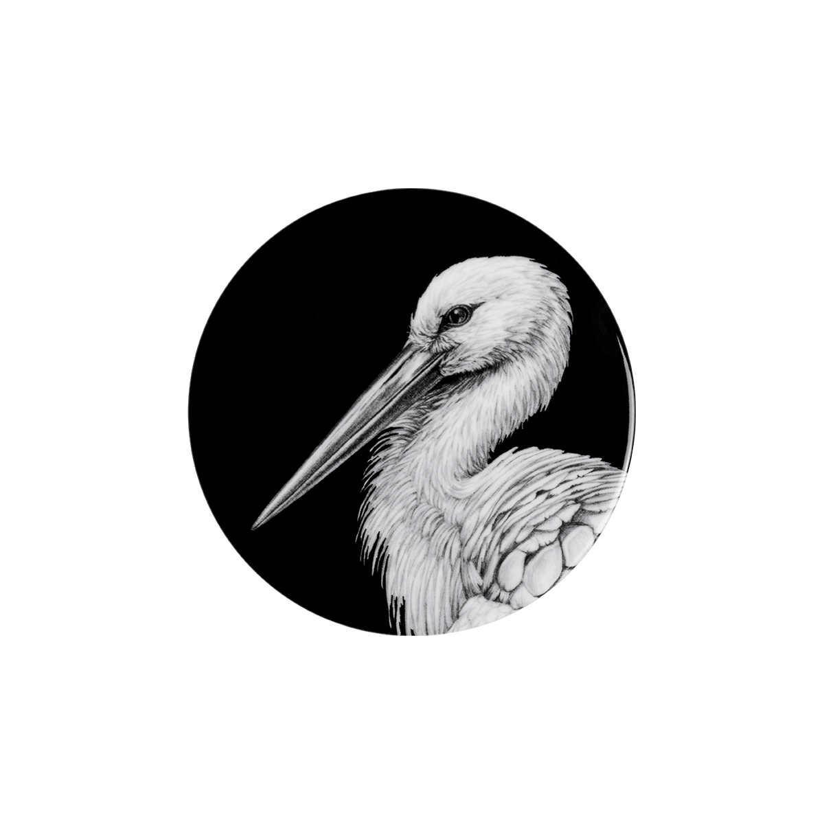 storch porträt auf schwarz .