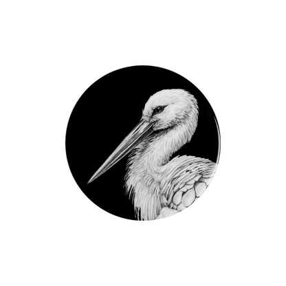 storch porträt auf schwarz .