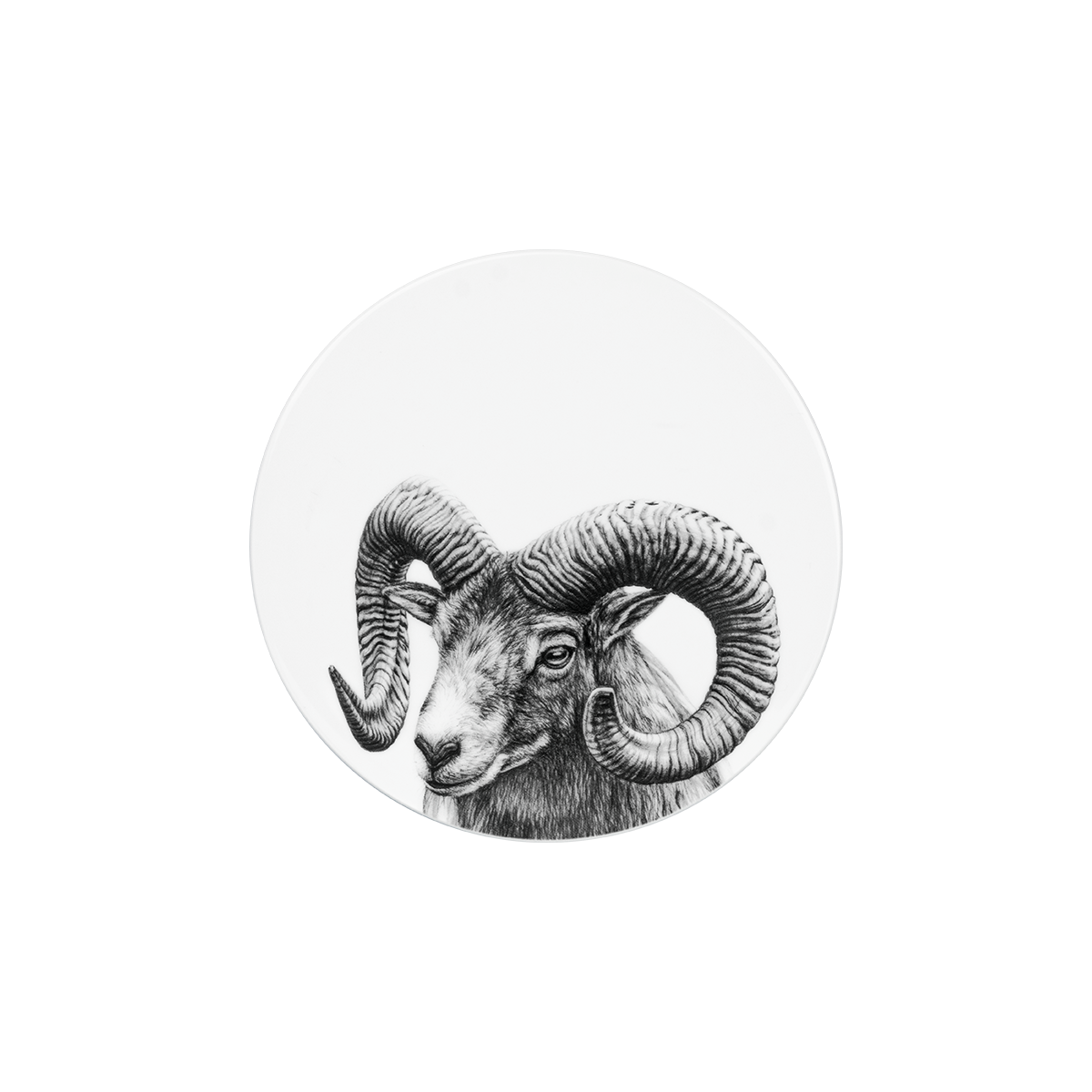 deckel 11 . untersetzer . widder .