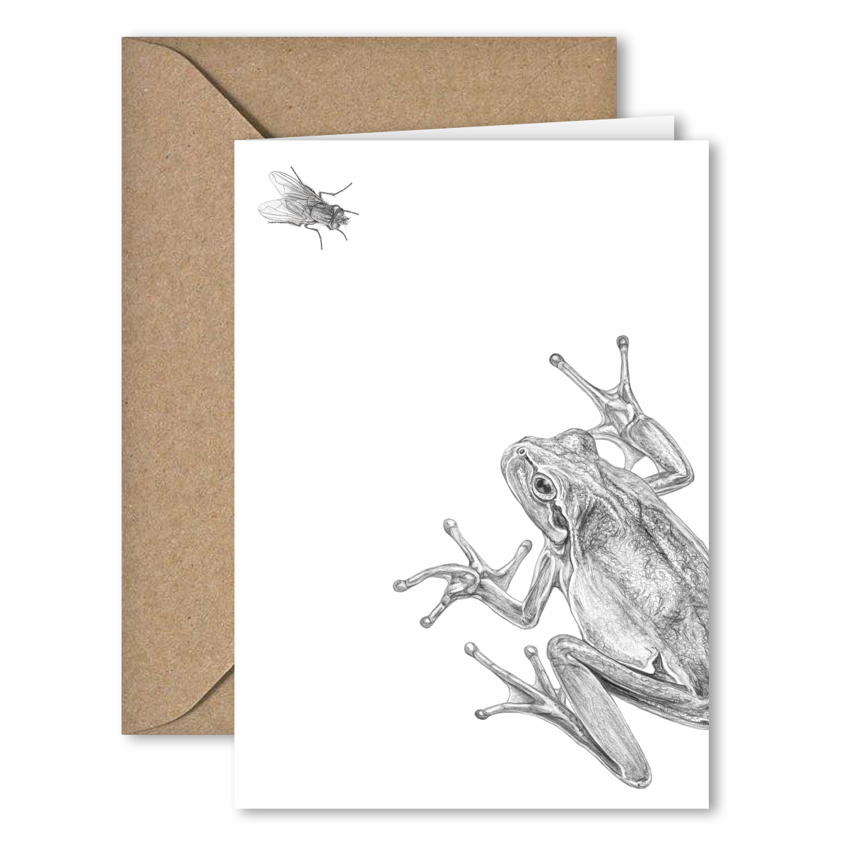klappkarte mit umschlag . frosch mit fliege .